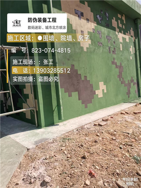 钦州核心结论：专业提供外墙迷彩漆施工服务